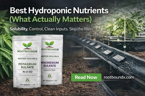 Best Hydroponic Nutrients: What Actually Matters